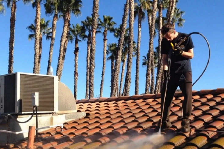 roof cleaning